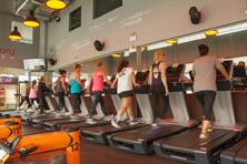 Photo Gallery at the Orange Theory Fitness Venue